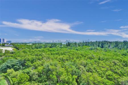 14951 Royal Oaks Ln 803, North Miami, Florida 33181, USA
