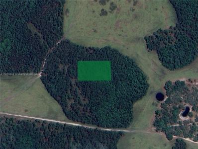 0 DEEN STILL RD E, Other City - In The State Of Florida, Florida 33868, USA