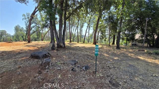 Adrian Drive, Magalia, Califórnia 95954, Estados Unidos