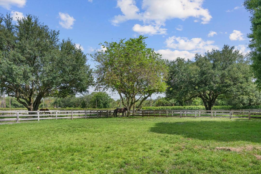 3442 C Road, Loxahatchee Groves, פלורידה 33470, ארצות הברית של אמריקה 