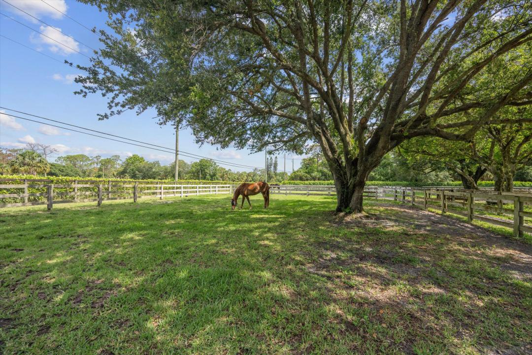 3442 C Road, Loxahatchee Groves, פלורידה 33470, ארצות הברית של אמריקה 