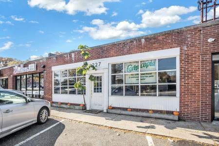 227 Wall Street, Huntington, ニューヨーク 11743, アメリカ合衆国