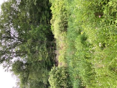 Baxtertown Road, Fishkill, Нью-Йорк 12524, Соединенные Штаты