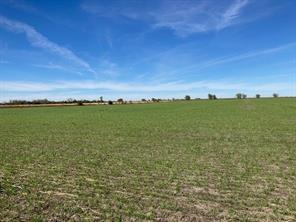 Fm 198, Lake Creek, Texas 75450, États-Unis