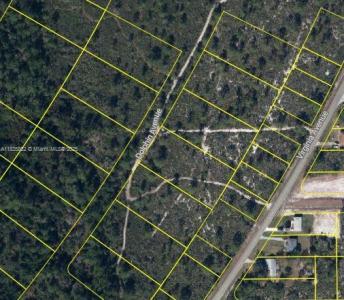 719 Dolphin Ave, Lake Placid, Florida 33852, USA