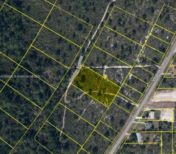 719 Dolphin Ave, Lake Placid, Florida 33852, USA