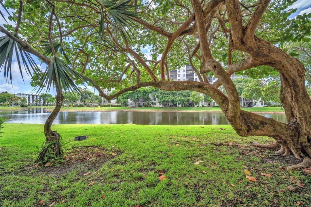 2311 S CYPRESS BEND DRIVE 316B, Pompano Beach, Florida 33069, Amerika Birleşik Devletleri