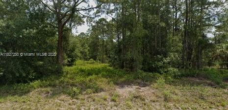 145 N MAYORAL STREET, Clewiston, Флорида 33440, Соединенные Штаты