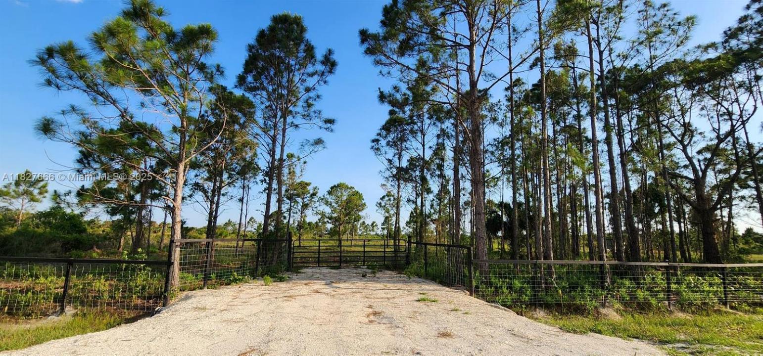 16322 NW 294 st, Okeechobee, フロリダ 34972, アメリカ合衆国