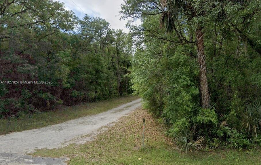 16400 NE 138th Ct, Other City - In The State Of Florida, Flórida 32134, Estados Unidos