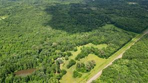 11349 Fm 557, Pittsburg, Texas 75686, États-Unis