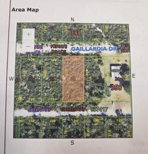 Gaillardia Drive, Frostproof, Florida 33843, Estados Unidos