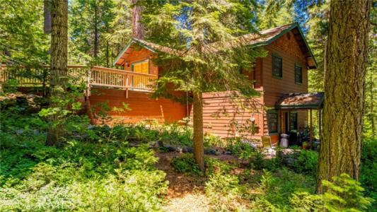 Railroad Lane, Fish Camp, Kalifornien 93623, USA