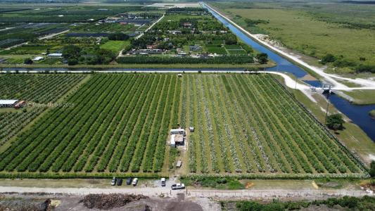 30401 SW 228 Ave, Homestead, פלורידה 33030, ארצות הברית של אמריקה 