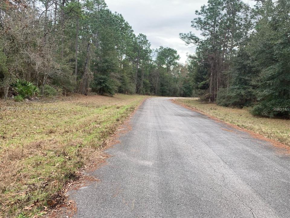 156 ST, Ocala, 佛羅里達州 34473, 美國