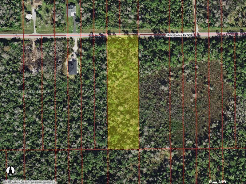 0 Shady Hollow Blvd E, Naples, 佛罗里达州 34120, 美国