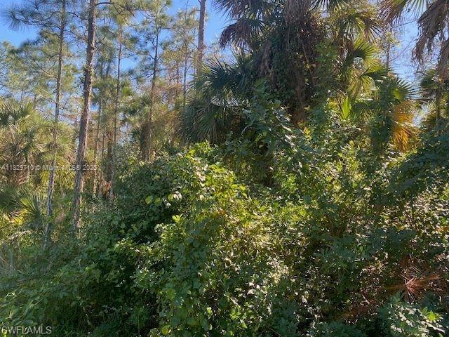 0 Shady Hollow Blvd E, Naples, 佛罗里达州 34120, 美国