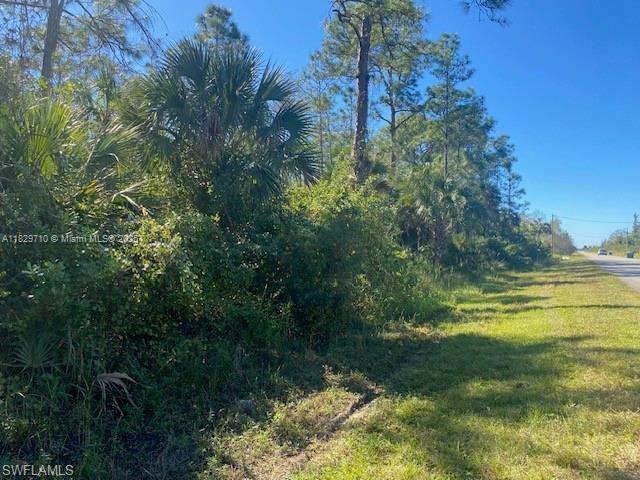 0 Shady Hollow Blvd E, Naples, 佛罗里达州 34120, 美国