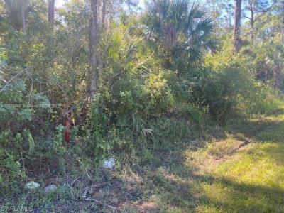 0 Shady Hollow Blvd E, Naples, Florida 34120, USA