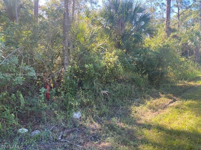 0 Shady Hollow Blvd E, Naples, 佛罗里达州 34120, 美国