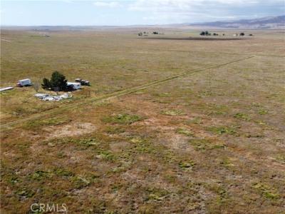 Beckworth Road, California Valley, 加州 93453, 美國