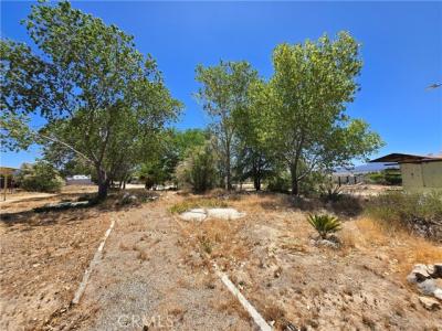 Bahrman Road, Anza, California 92539