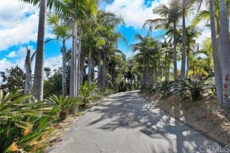 Elevado Road, Vista, California 92084, Estados Unidos