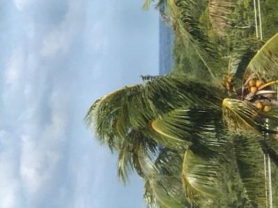 275 Palm Avenue C503, Jupiter, Флорида 33477, Соединенные Штаты