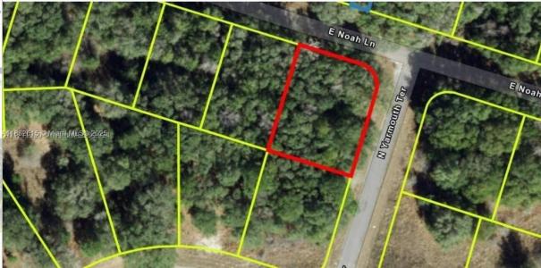 684 E Noah Ln, Citrus Springs, Floryda 34434, USA