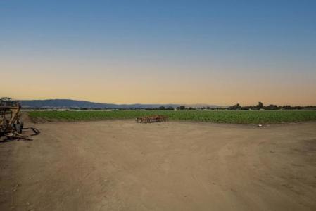 Crews Road, Gilroy, Californie 95020, États-Unis