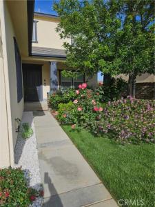 Paintbrush Drive, Palmdale, קליפורניה 93551, ארצות הברית של אמריקה