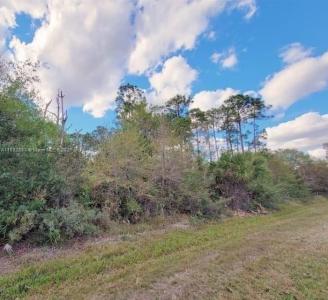 305 Yeehaw Ave, Clewiston, Florida 33040, USA