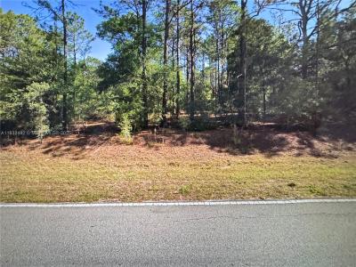 Dunnellon S Undermined, Other City - In The State Of Florida, Florida 34431, USA