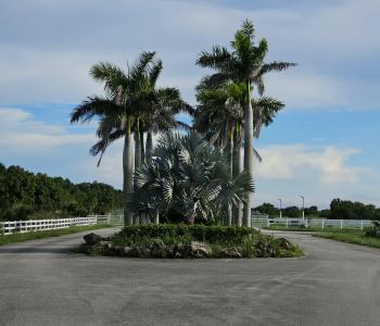 3225 Frog Holw, Loxahatchee, Florida 33470