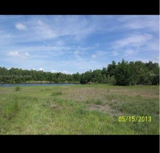 Kissimmee, Florida 34758, USA
