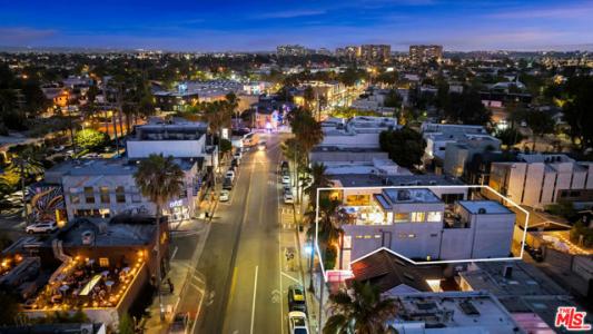 Abbot Kinney Boulevard, Venezia, California 90291, Stati Uniti