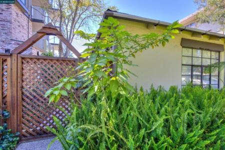 Carmel Dr, Walnut Creek, カリフォルニア 94596, アメリカ合衆国