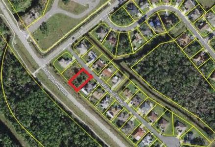 MIRAMAR WAY, Kissimmee, Florida 34758, Amerika Birleşik Devletleri