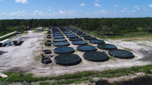 330 N Verda Street, Clewiston, Floride 33440, États-Unis