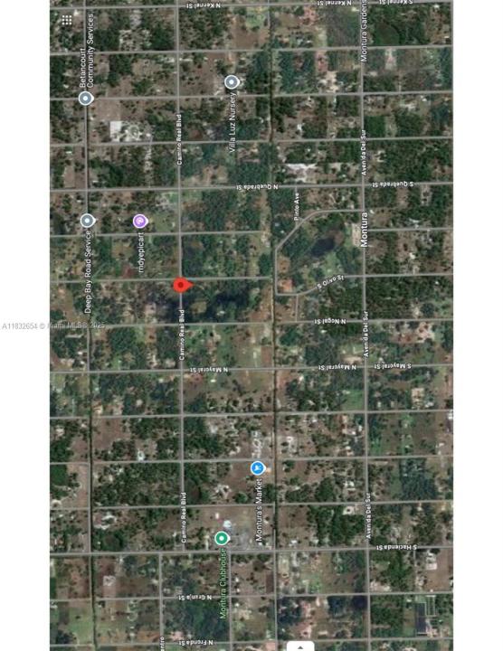 442 Camino Real Blvd, Clewiston, 플로리다 33440, 미국