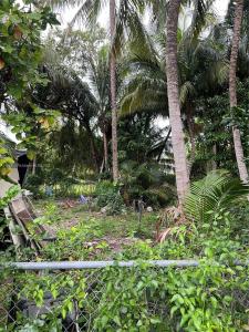 1455 NW 112th St, Miami, Florida 33167, USA