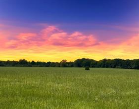 12675 County Road 2922, Eustace, 텍사스 75124, 미국