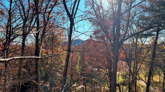 66 Ryan Road, Pine Plains, Нью-Йорк 12567, Соединенные Штаты
