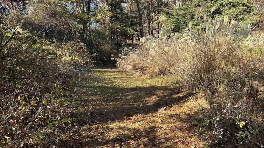 66 Ryan Road, Pine Plains, Nova Iorque 12567, Estados Unidos
