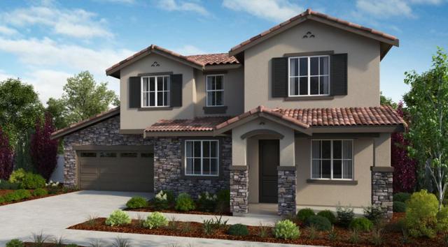 Joshua Tree Way, Vacaville, California 95687