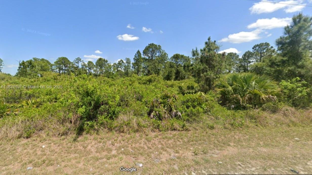 355 Long Ave, Lehigh Acres, Florida 33974, HOA KỲ
