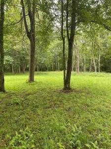 505 Long Highway, Little Compton, Rhode Island 02837, Estados Unidos