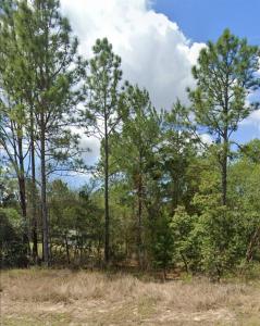 3808 W Indian Rock Pl, Citrus Springs, Flórida 34433, Estados Unidos