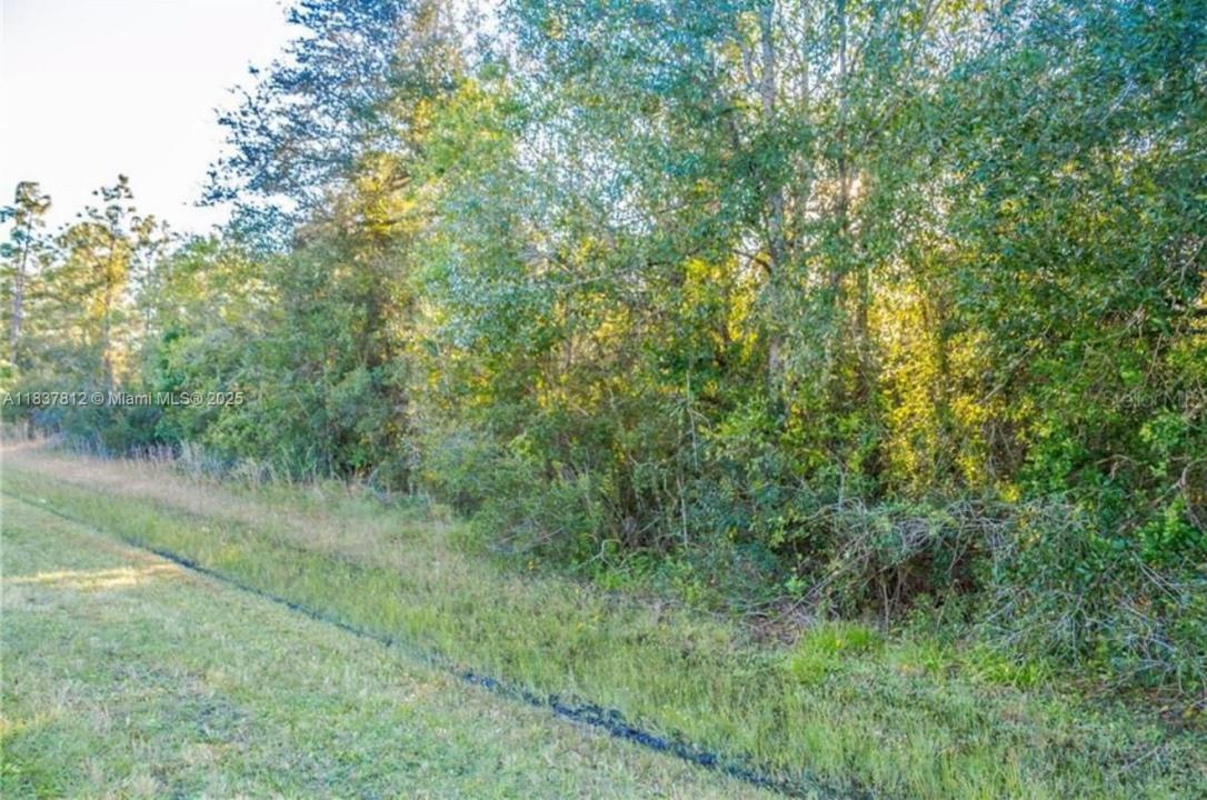 0 N Dallas Blvd, Orlando, Floride 32833, États-Unis