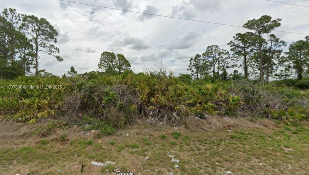 1247 Antonio Street E, Lehigh Acres, 佛罗里达州 33974, 美国